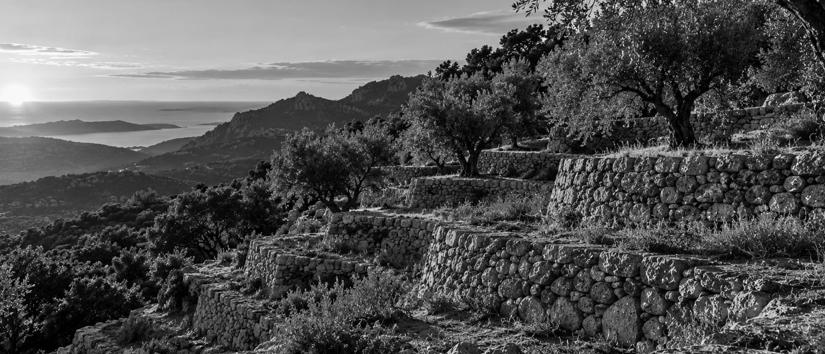 Terrasses de pierre sèche en Corse